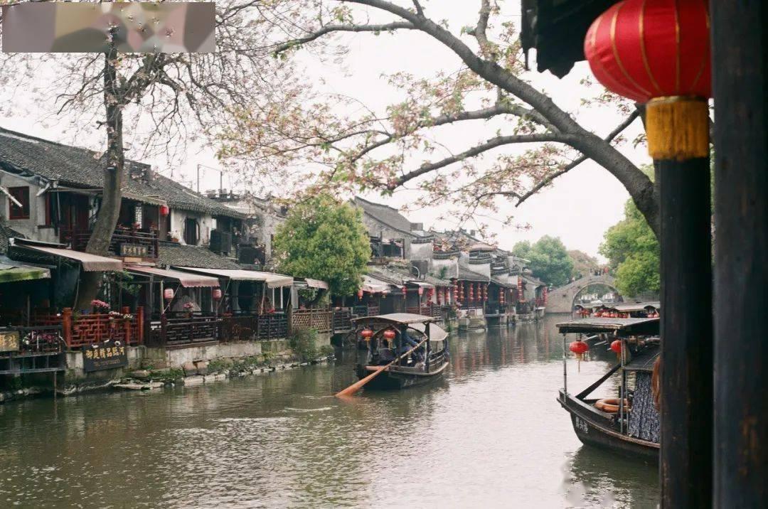 原来亦菲竟然没死,当年假死是外婆默许,真相太心酸